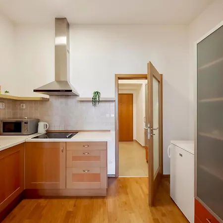 Apartment Centrum Victoria Lux *