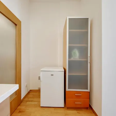 Apartment Centrum Victoria Lux Prague